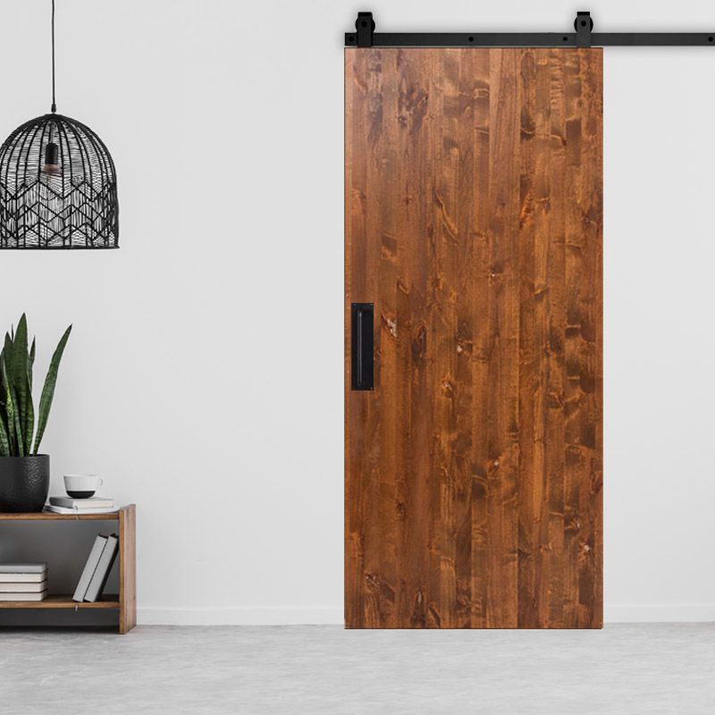 Modern Slab Barn Door Rustica